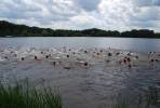 ./2008/pics/tn_triathlon_2008_dsc_0124.jpg